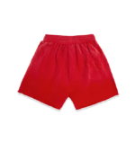 Sp5der Red OG Logo Short back